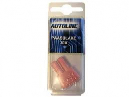 Autoline Pääsulake Japan 30A NAARAS 1kpl